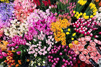 前V社工程师增强现实公司开发 著名桌游《卡坦岛》将于2023年推出AR版