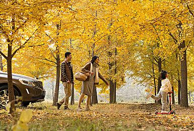 PC游戏秀：《药剂工艺》即将脱离EA正式推出